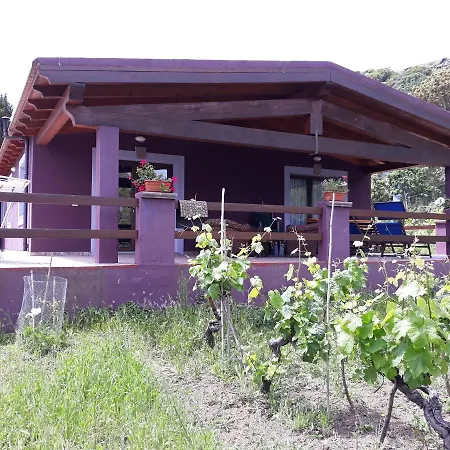 Veronica Дом отдыха