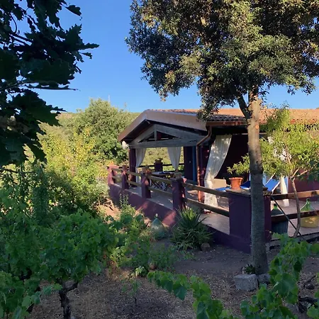 Veronica Tatil Evi Sedini